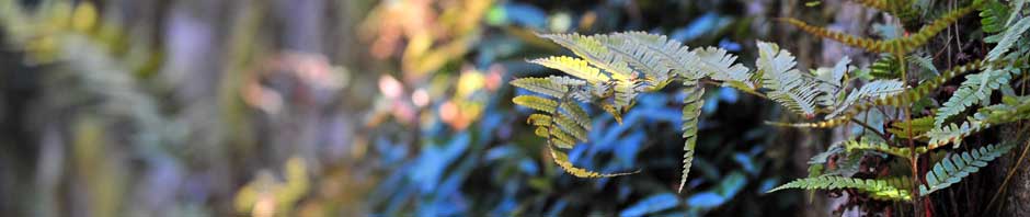 มาตรฐานงานพื้นอุตสาหกรรม สำหรับการใช้งานจริง